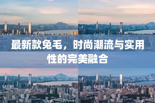 最新款兔毛，时尚潮流与实用性的完美融合