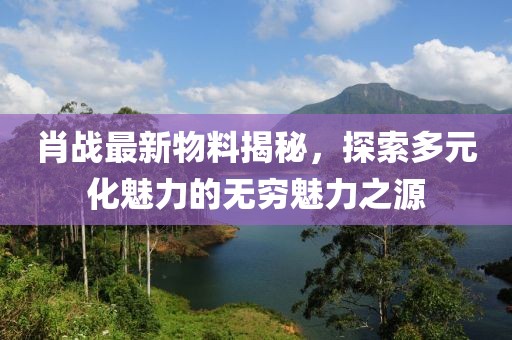 肖战最新物料揭秘，探索多元化魅力的无穷魅力之源