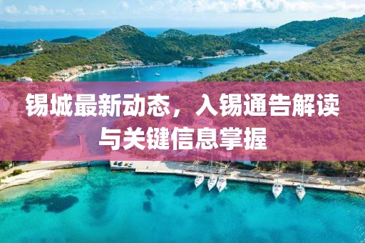 锡城最新动态，入锡通告解读与关键信息掌握