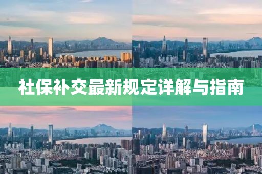 社保补交最新规定详解与指南