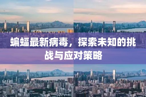 蝙蝠最新病毒，探索未知的挑战与应对策略