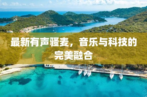 最新有声骚麦，音乐与科技的完美融合