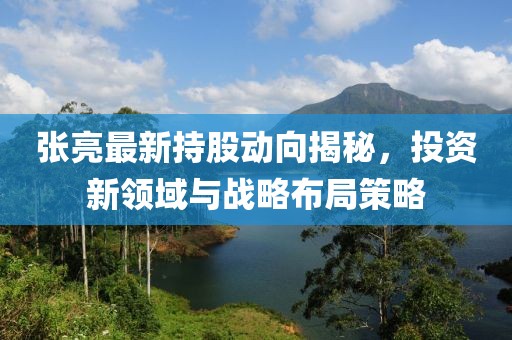 张亮最新持股动向揭秘，投资新领域与战略布局策略