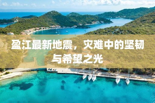 盈江最新地震，灾难中的坚韧与希望之光