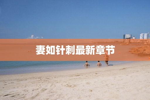 妻如针刺最新章节