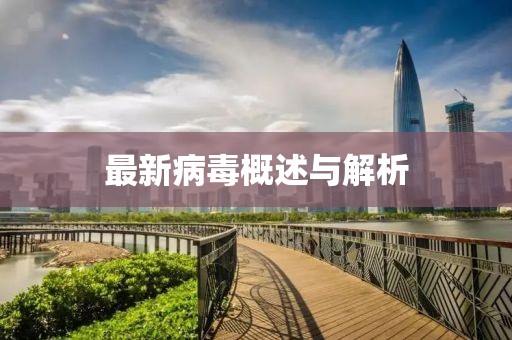 最新病毒概述与解析