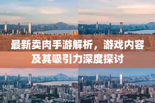 最新卖肉手游解析，游戏内容及其吸引力深度探讨