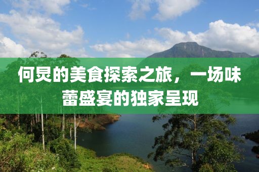 何炅的美食探索之旅，一场味蕾盛宴的独家呈现