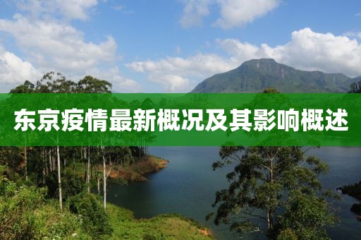 东京疫情最新概况及其影响概述
