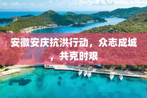 安徽安庆抗洪行动，众志成城，共克时艰