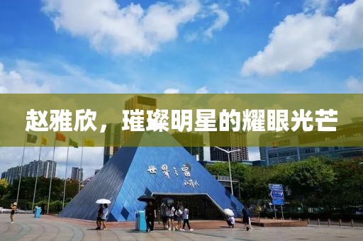 赵雅欣，璀璨明星的耀眼光芒