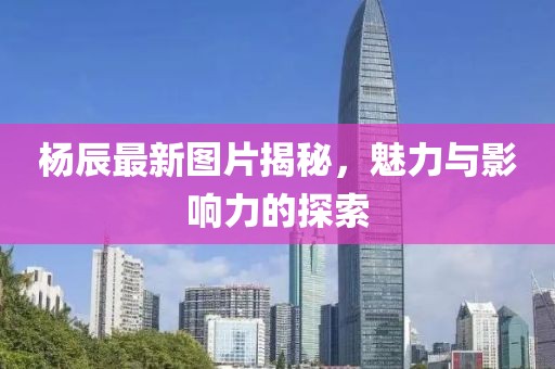 杨辰最新图片揭秘，魅力与影响力的探索