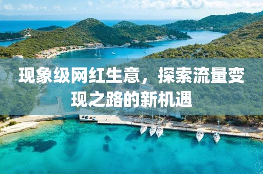 现象级网红生意，探索流量变现之路的新机遇