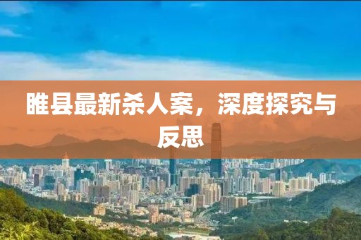 睢县最新杀人案，深度探究与反思