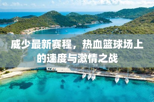 威少最新赛程，热血篮球场上的速度与激情之战