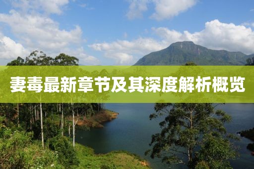 妻毒最新章节及其深度解析概览