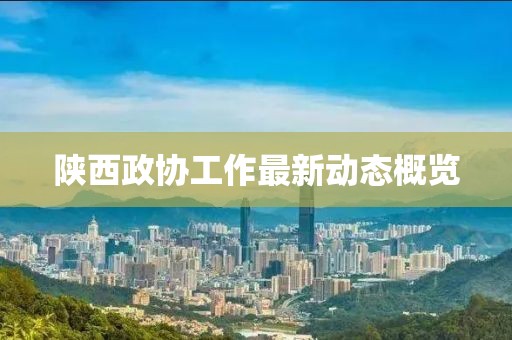 陕西政协工作最新动态概览
