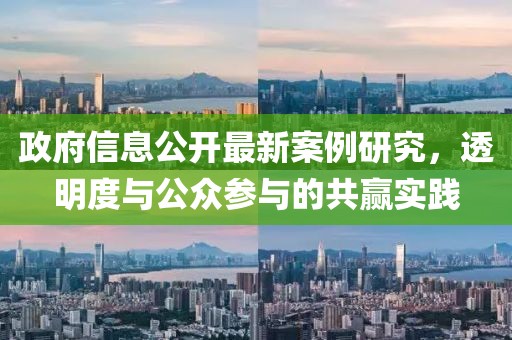政府信息公开最新案例研究，透明度与公众参与的共赢实践