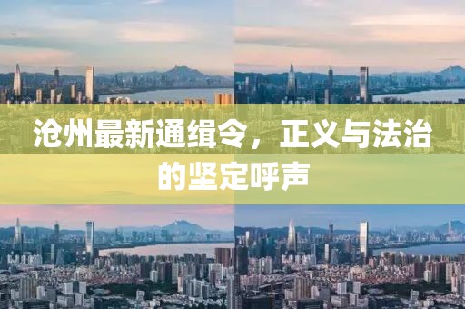 沧州最新通缉令，正义与法治的坚定呼声