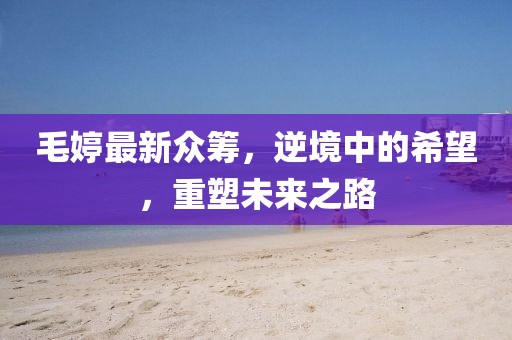 毛婷最新众筹，逆境中的希望，重塑未来之路