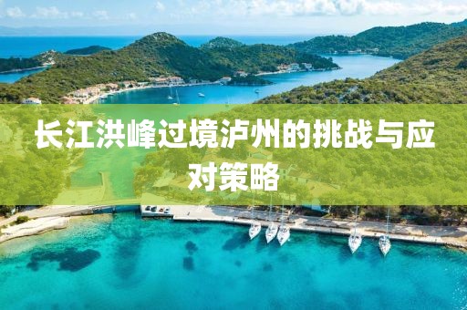长江洪峰过境泸州的挑战与应对策略