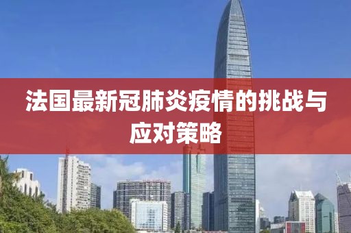法国最新冠肺炎疫情的挑战与应对策略