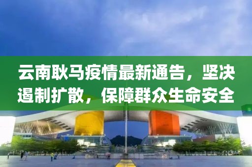 云南耿马疫情最新通告，坚决遏制扩散，保障群众生命安全