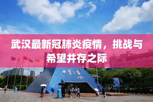 武汉最新冠肺炎疫情，挑战与希望并存之际