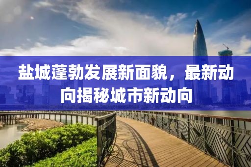 盐城蓬勃发展新面貌，最新动向揭秘城市新动向