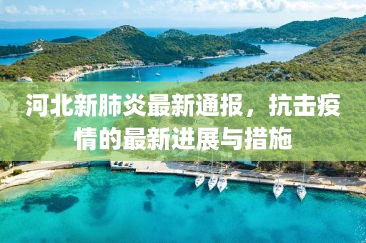 河北新肺炎最新通报，抗击疫情的最新进展与措施