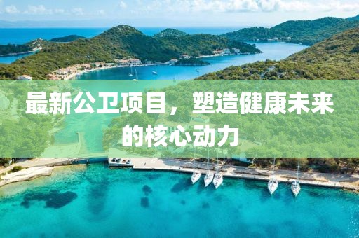 最新公卫项目，塑造健康未来的核心动力