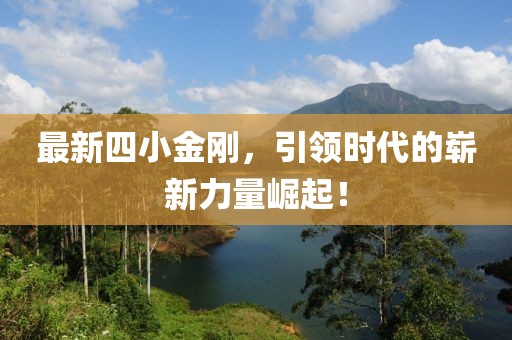 最新四小金刚，引领时代的崭新力量崛起！