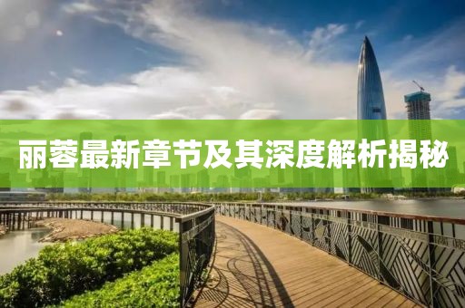 丽蓉最新章节及其深度解析揭秘
