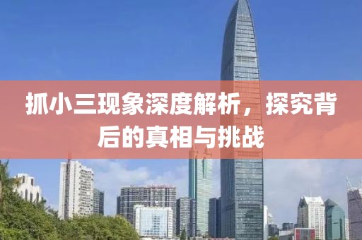 抓小三现象深度解析，探究背后的真相与挑战