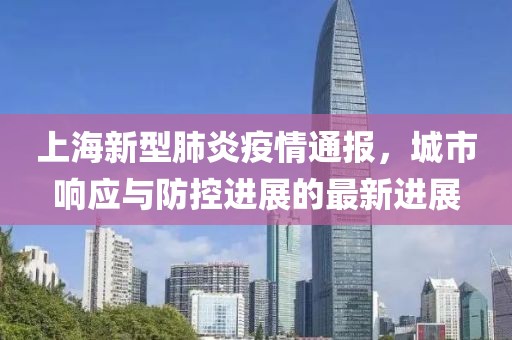 上海新型肺炎疫情通报，城市响应与防控进展的最新进展