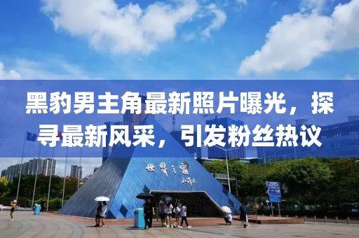 黑豹男主角最新照片曝光，探寻最新风采，引发粉丝热议