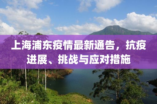 上海浦东疫情最新通告，抗疫进展、挑战与应对措施