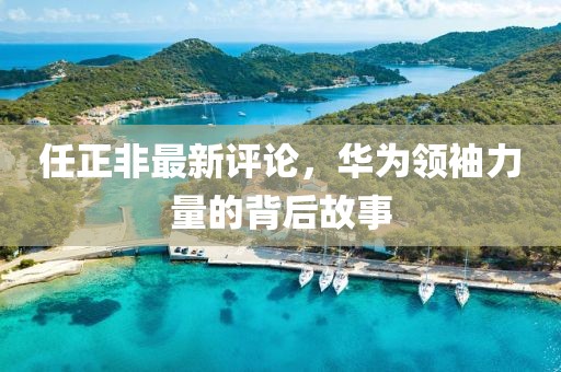 任正非最新评论，华为领袖力量的背后故事