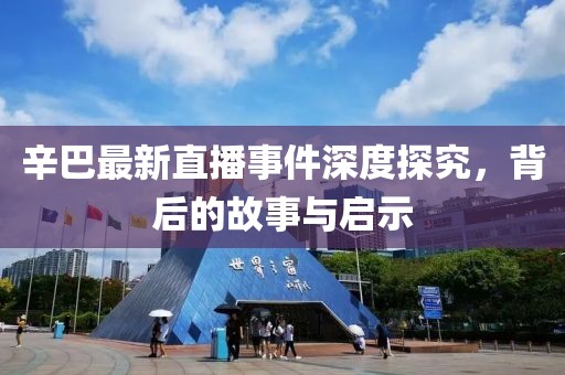 辛巴最新直播事件深度探究，背后的故事与启示