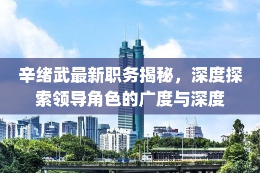 辛绪武最新职务揭秘，深度探索领导角色的广度与深度