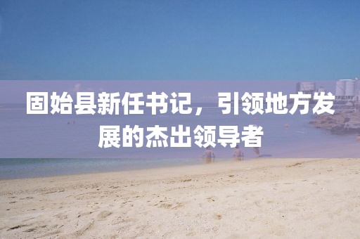 固始县新任书记，引领地方发展的杰出领导者