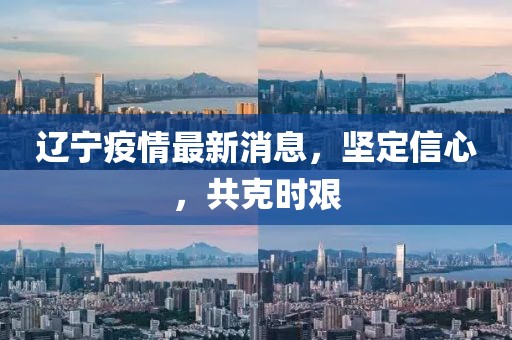 辽宁疫情最新消息，坚定信心，共克时艰