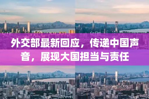 外交部最新回应，传递中国声音，展现大国担当与责任
