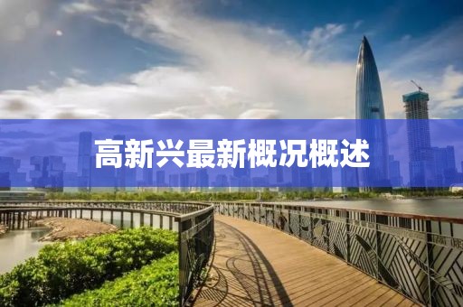 高新兴最新概况概述