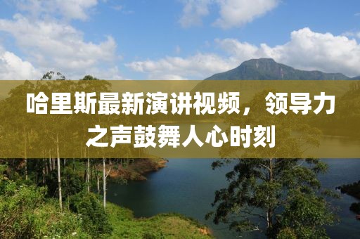 哈里斯最新演讲视频，领导力之声鼓舞人心时刻