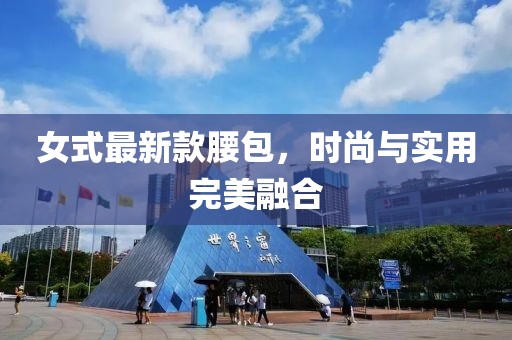 女式最新款腰包，时尚与实用完美融合
