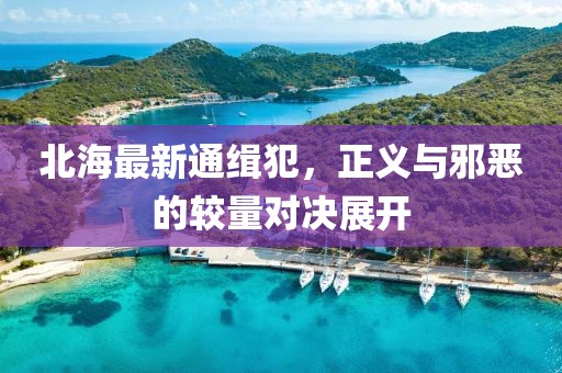 北海最新通缉犯，正义与邪恶的较量对决展开