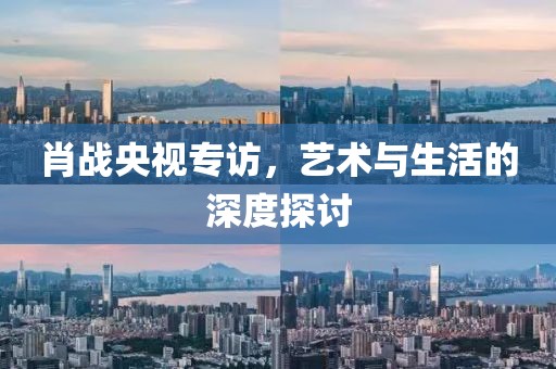 肖战央视专访，艺术与生活的深度探讨