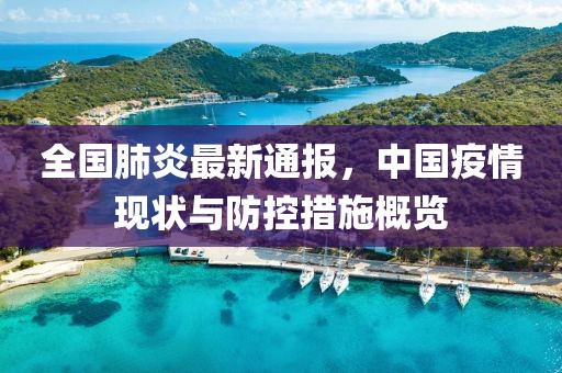 全国肺炎最新通报，中国疫情现状与防控措施概览