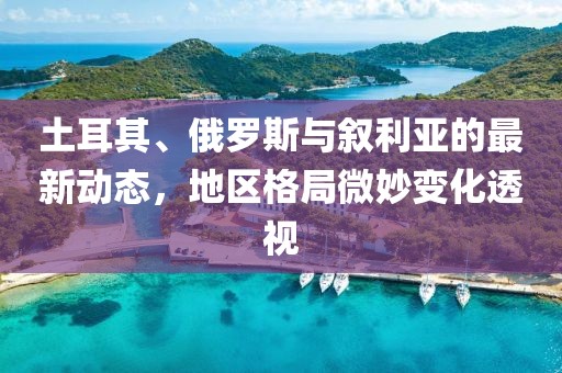 土耳其、俄罗斯与叙利亚的最新动态，地区格局微妙变化透视